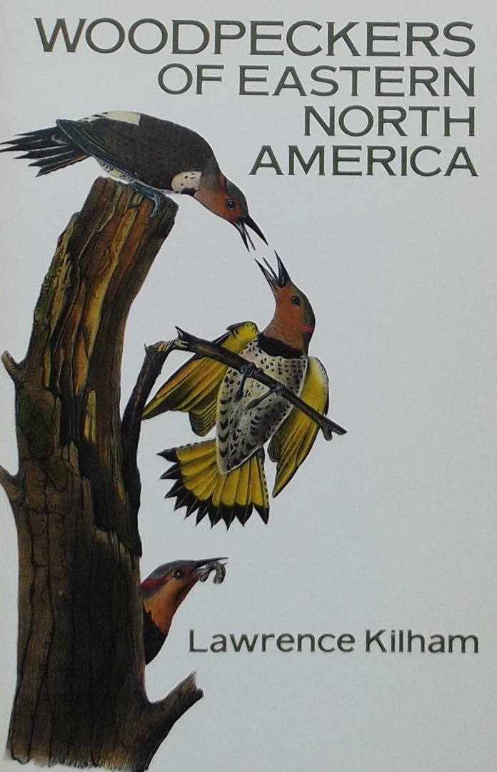 Kilham, Lawrence. - Woodpeckers of Eastern North America