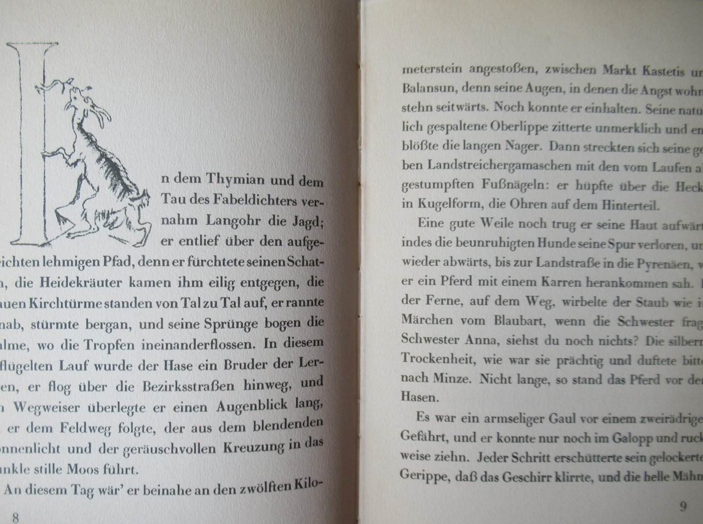 Jammes, Francis - Der Hasenroman