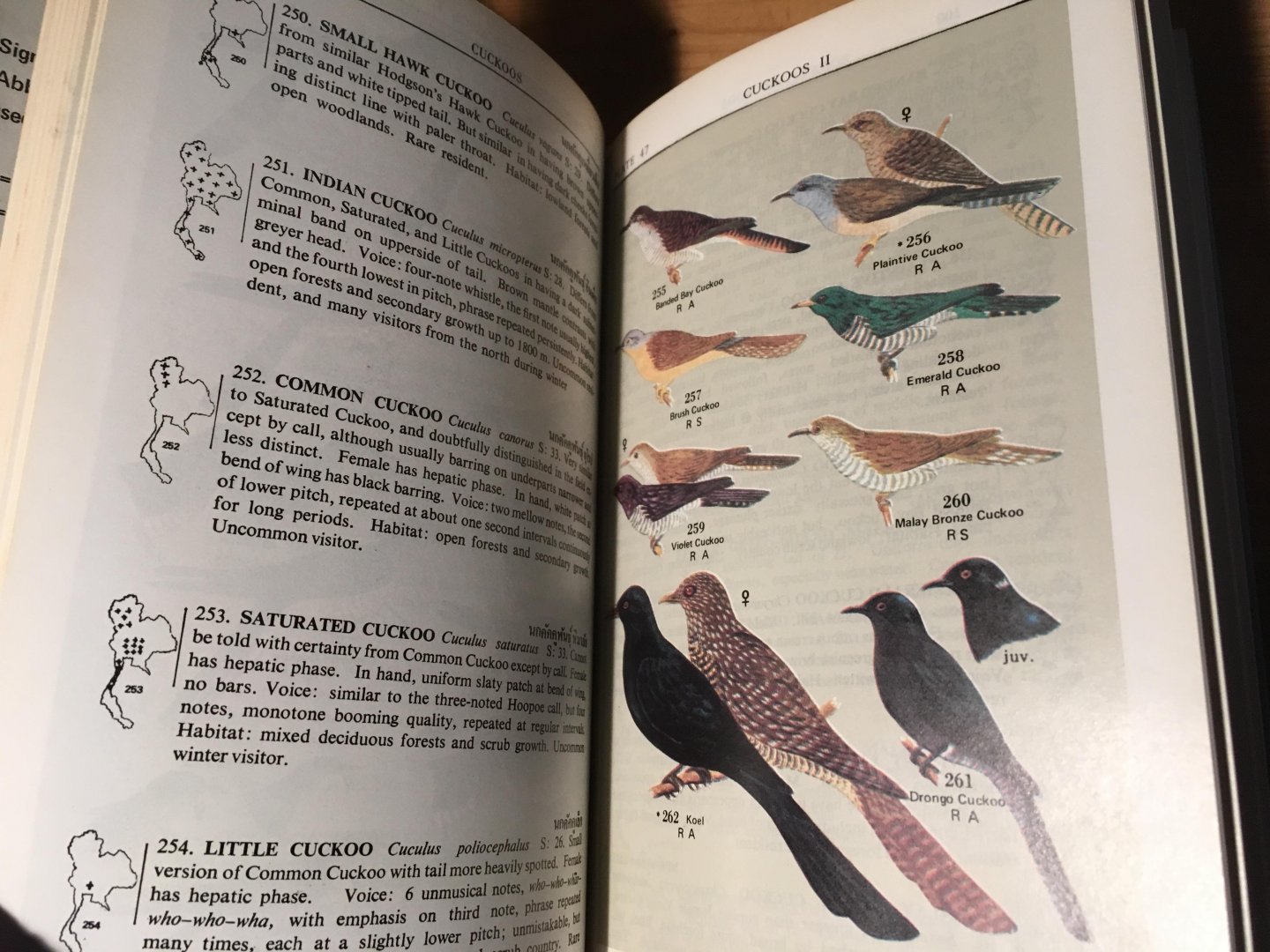 Lekagul, Boonsong & EW Cronin - Bird Guide of Thailand - second rev edition