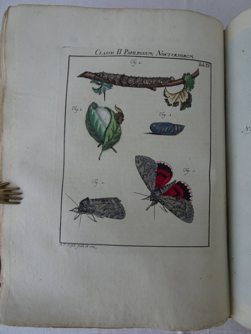 Rösel von Rosenhof, August Johan and C.FC. Kleemann. - De natuurlyke historie der insecten. Voorzien met naar `t Leven getekende en gekoleurde Plaaten. Volgens eigen ondervindling beschreeven, door de Heer August Johann Rösel, van Rosenhof, Miniatuur-Schilder. Met zeer nutte en fraaie Aanmerkingen...