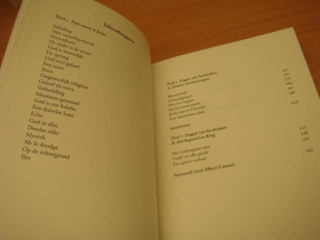 Pomp, Roel - Lichtgelovig