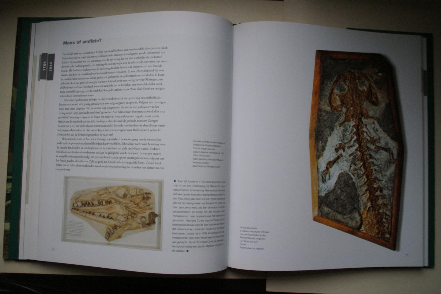 Bluhm, Andreas ; Lippincott, Louise - Beestachtig Mooi kijken naar dieren, 1750 - 1900  met een voorwoord van Desmond Morris