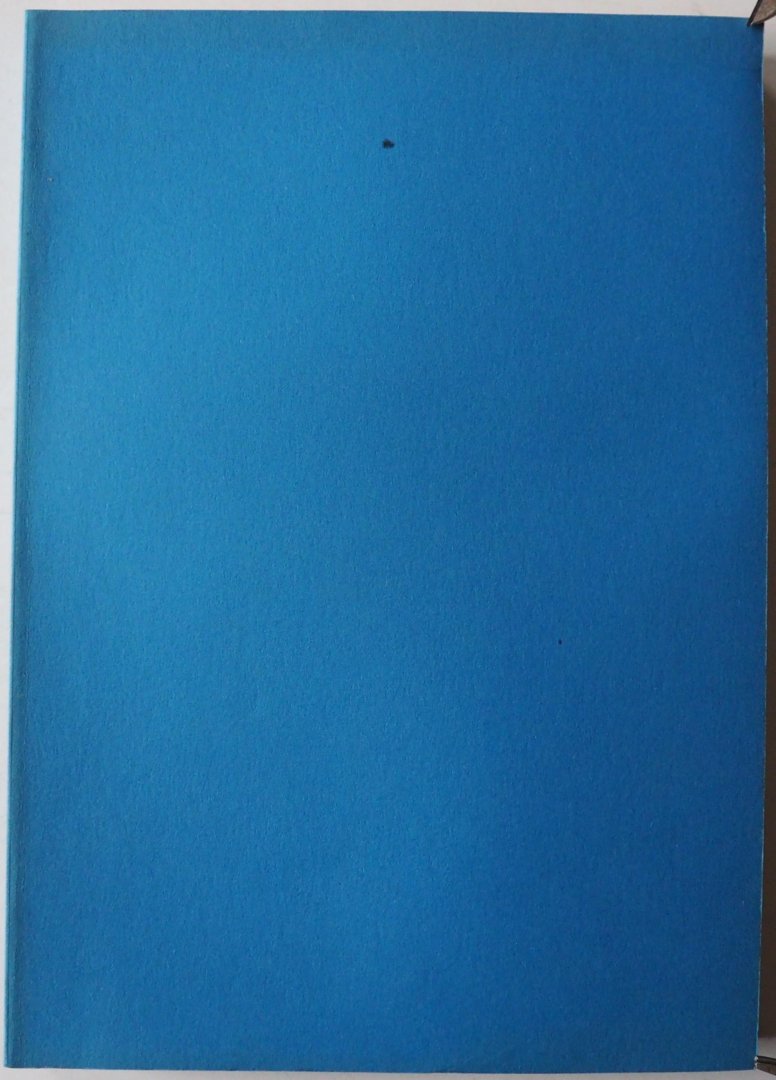 Geesink M S, Doornenbosch Paul e.a. - BNTL Bibliografie van de Nederlandse taal- en literatuurwetenschap 1985-1986  Aangevuld met de bibliografie van de Friese taal- en literatuurwetenschap 1985-1986 met aanvulling vanaf 1980