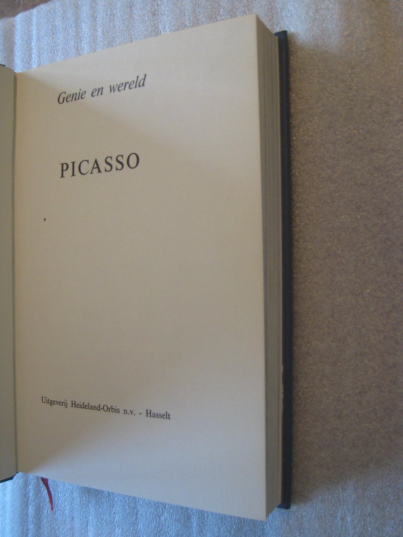 Castillo, Michel del, e.a. - Picasso / Genie en wereld