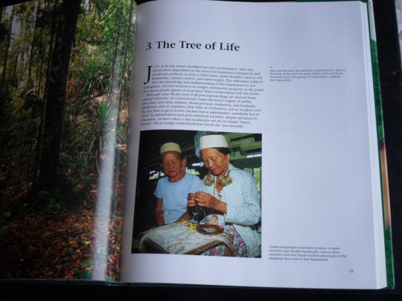 Sharp, Ilsa & Alain Compost - Green Indonesia, Tropical Forest Encounters