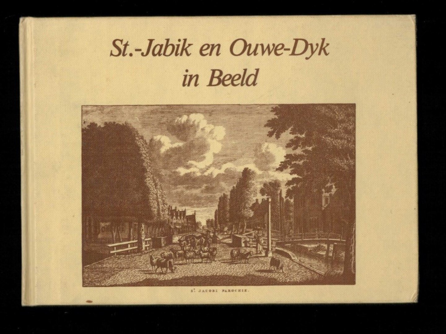 Buwalda - St.-Jabik en Ouwe-Dyk in beeld fotoboekje