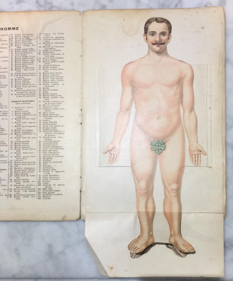 Docteur Vernon - Atlas Anatomique