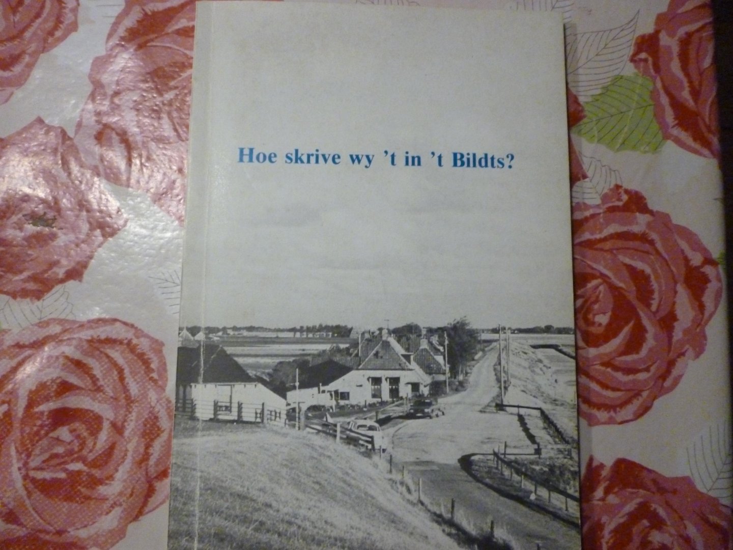 Buwalda H S - Hoe skrive wy 't in 't Bildts?