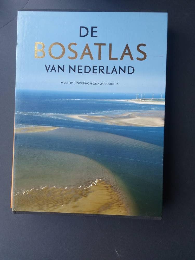van Brabant, Else - Rozy in 't Tooverland