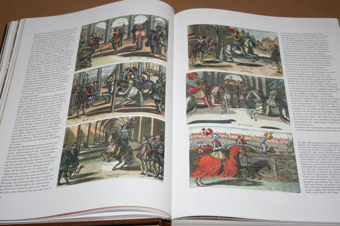 Arnim Basche - Geschichte des Pferdes