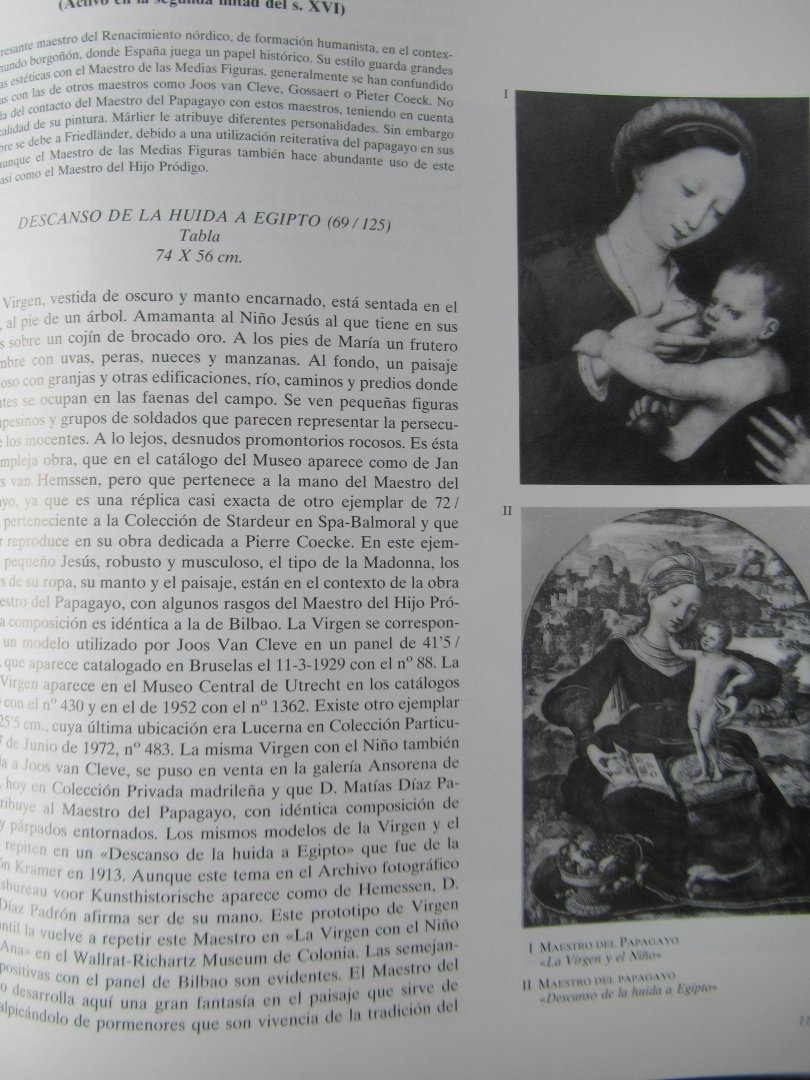 Castaner, Xesqui - Pinturas y pintores flamencos, holandeses y alemanes en el Museo de Bellas Artes de Bilbao.
