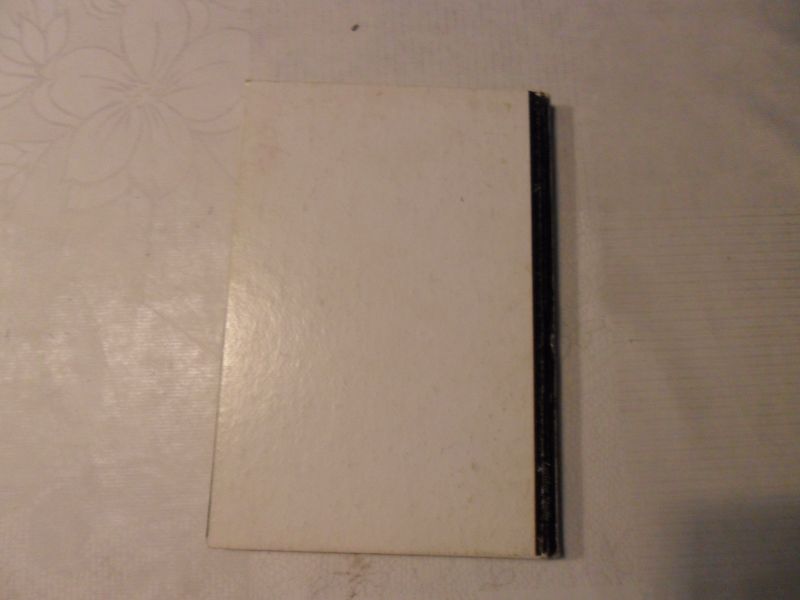 Schippers W. - De insluiper