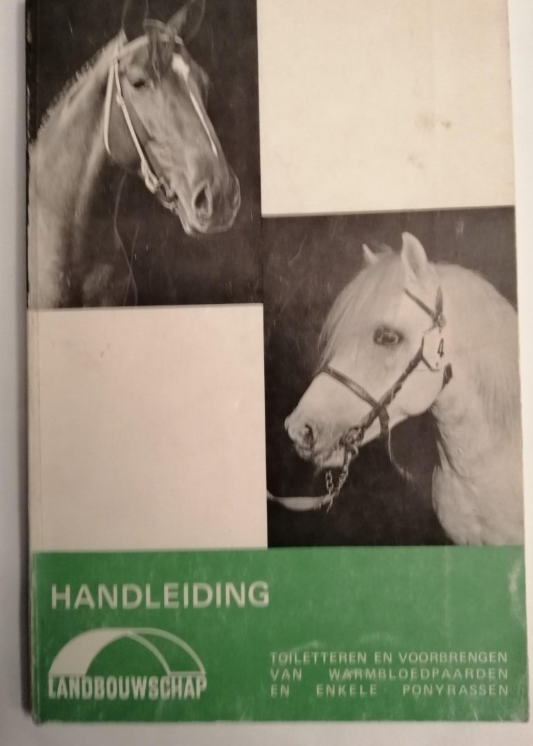 Paardenhouderij landbouwschap - Toiletteren en voorbrengen van warmbloedpaarden en enkle ponyrassen