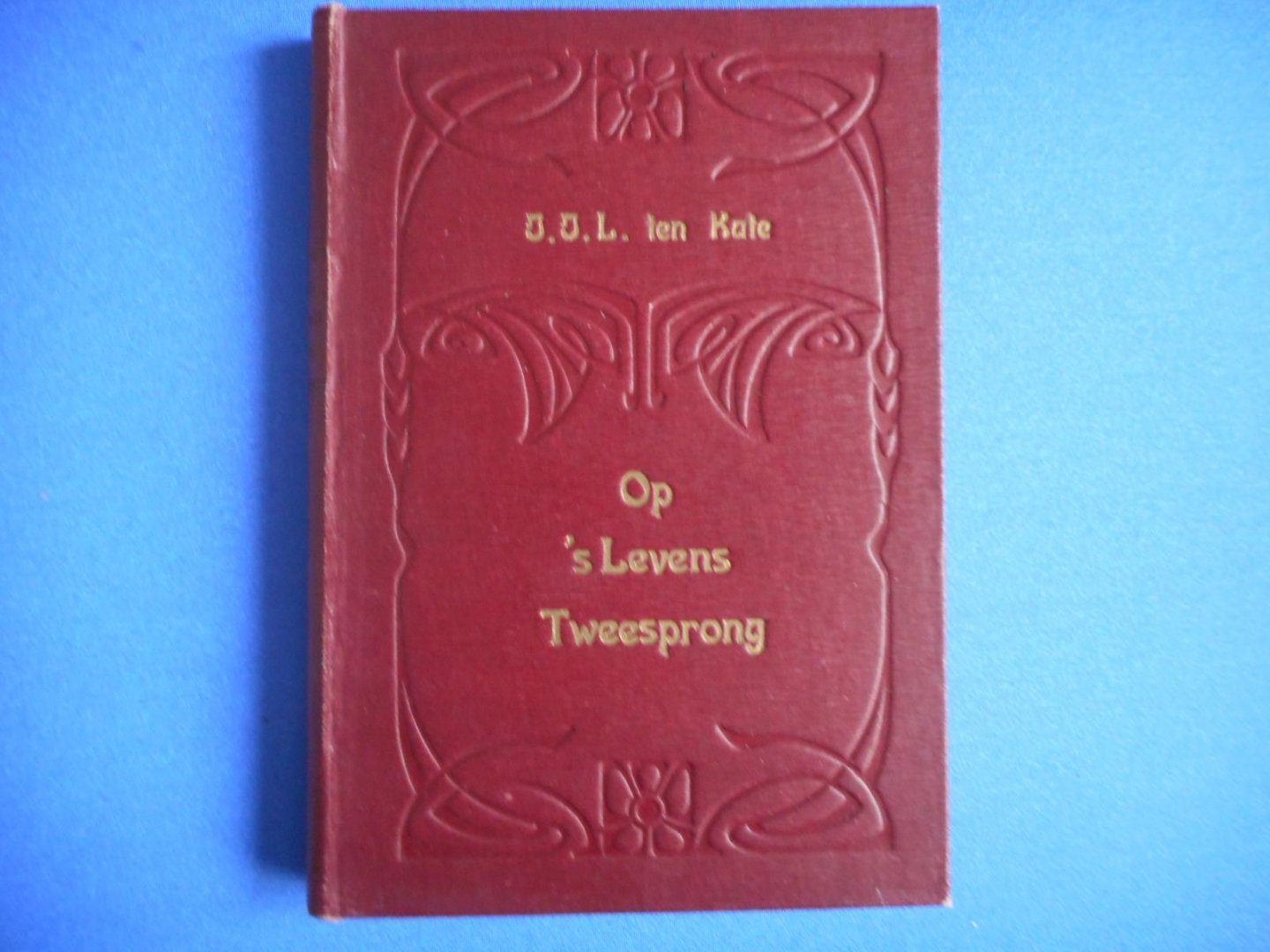 J.J.L. ten Kate - Op 's leven Tweesprong
