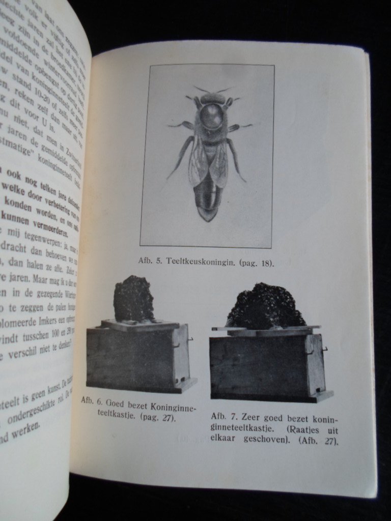 Frankenhuis, S. - Koninginneteelt