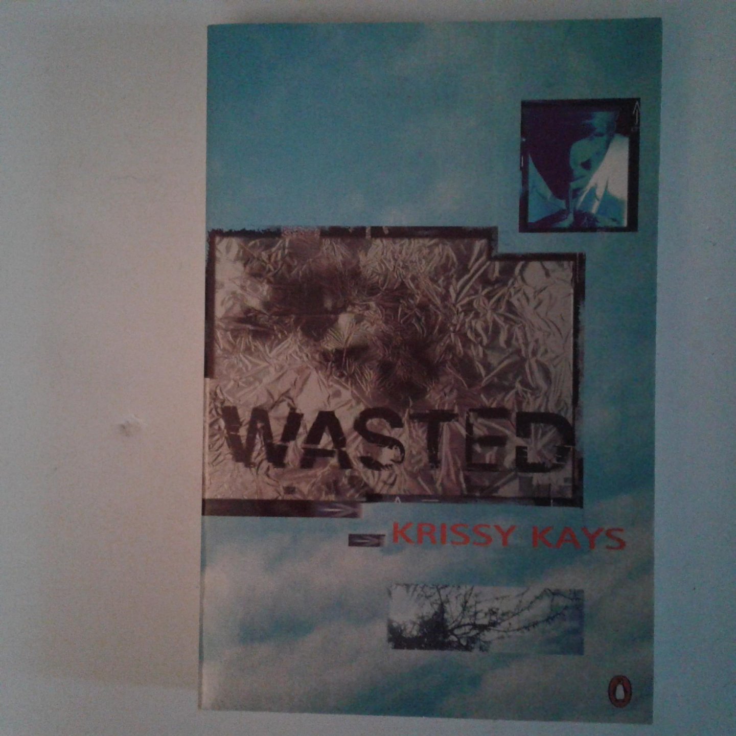 Kays, Krissy - Wasted