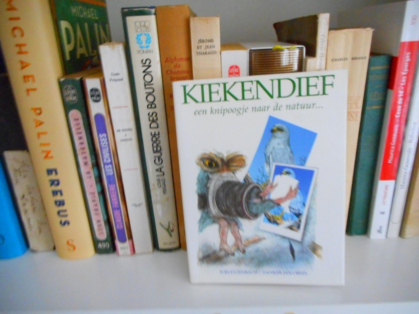 HUISENGA, JAN - KIEKENDIEF, EEN KNIPOOGJE NAAR DE NATUUR...