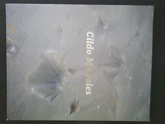 Brett, Guy - Cildo Meireles