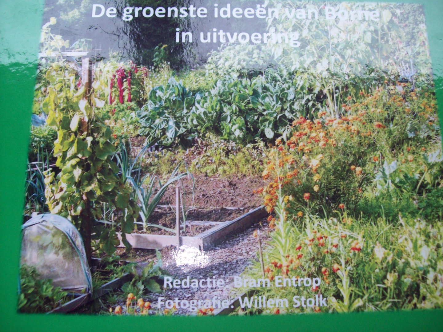 Bram Entrop & Willem Stolk - "De groenste ideeën van Borne in uitvoering"