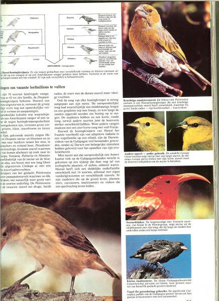 Scot,Scheygrond, Burton Maurice/e.a voorwoord van Z.K.H. de Prins der Neder - Grote geillustreerde dierenatlas.