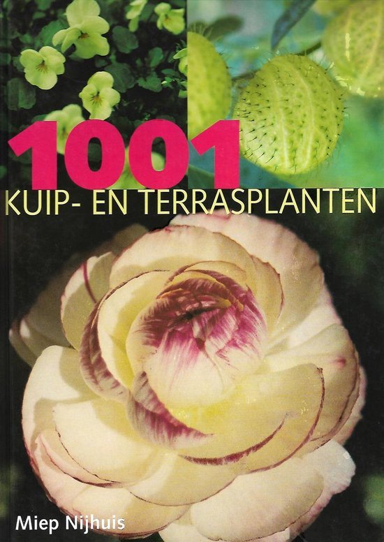 Miep Nijhuis - 1001 Kuip- En Terrasplanten