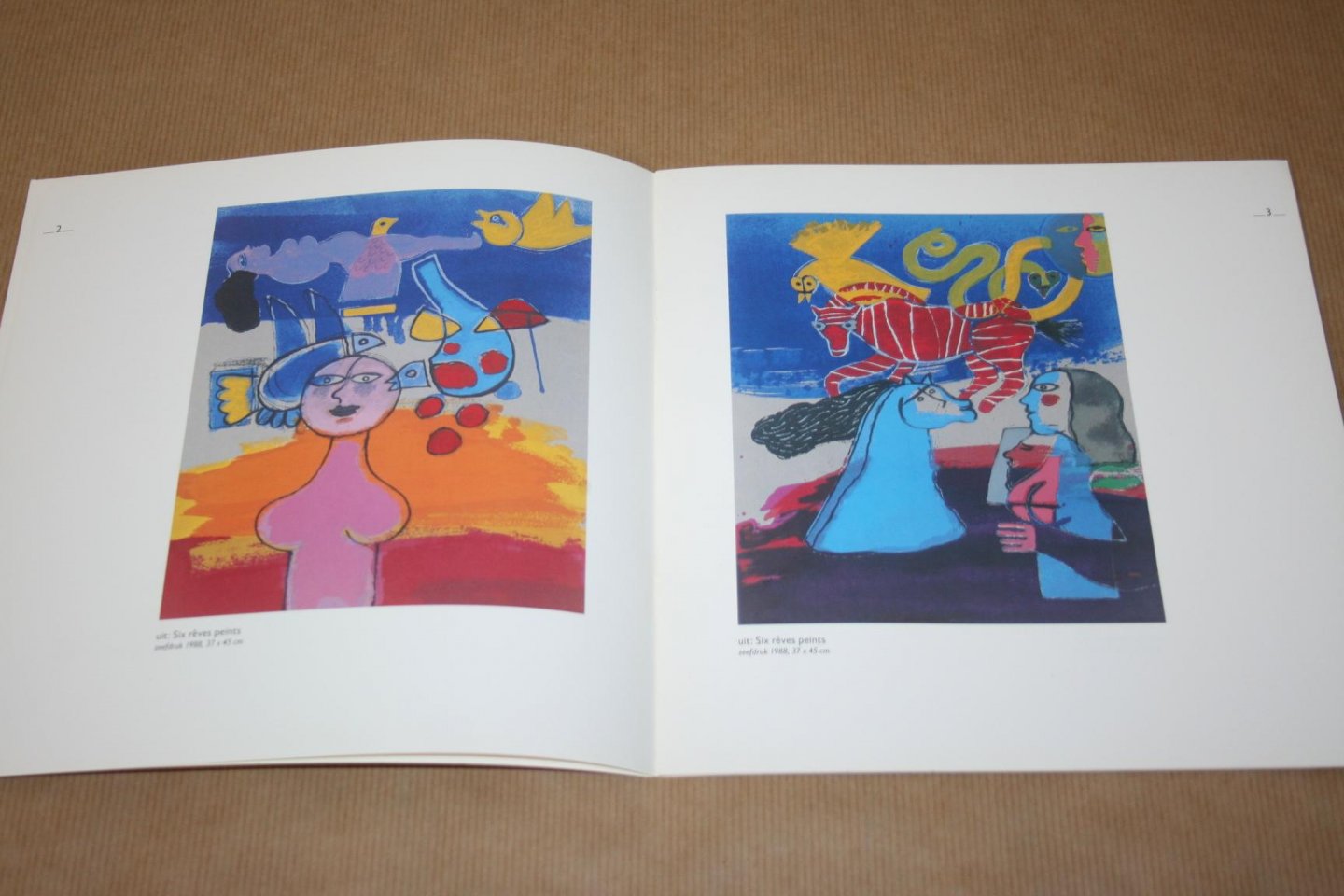  - Corneille in vogelvlucht