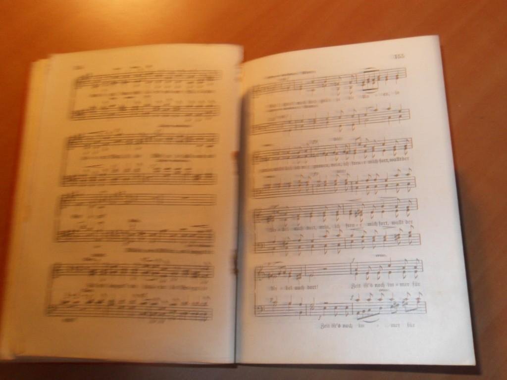 Palme, Rudolph - Deutsches Liederbuch für gemischte Chore. Eine Sammlung der beliebtesten Lieder älterer, sowie der hervorragendsten jetzt lebenden Tondichter