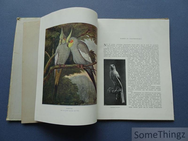 N/A. - Onze huisdieren. Kamer- en Volièrevogels. De duif. Met 75 groote en kleinere afbeeldingen naar photographieën, een een gekleurde plaat.
