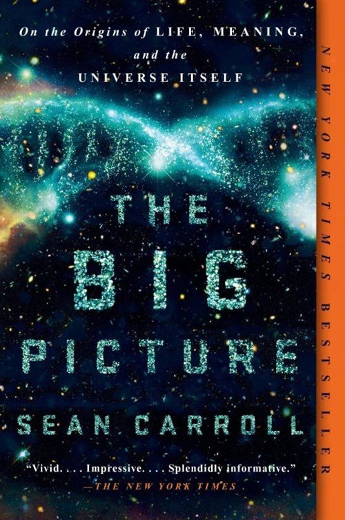 Sean Carroll - Big Picture