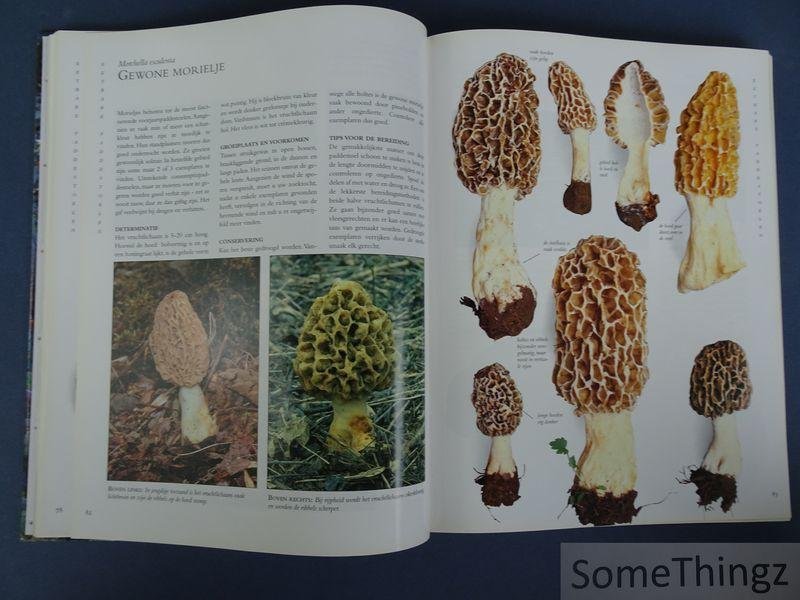 Peter Jordan, Steven Wheeler. - Paddestoelen: Alle soorten van A tot Z. Met 99 originele recepten.