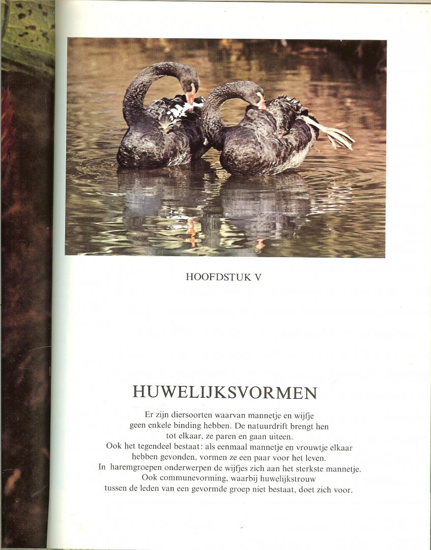Stuijvenberg, Willem van .. en Rijk geillustreerd in kleuren foto's en zwart wit foto's - Wonderen van de voortplanting   in de dierenwereld  ..  uit Mono Luxe Editie