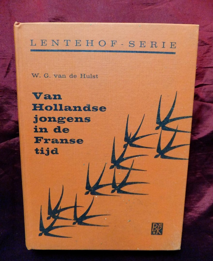 Hulst, W.G. van de - Van Hollandse jongens in de Franse tijd.