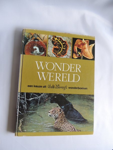 Grosfeld, Frans - Wonderwereld: Een keuze uit Walt Disneys wonderboeken