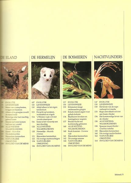 Honders, J .. Zuidermeer en de redactie The Reader's Digest - De Siberische TAIGA: Wolf - Steenarend - Lynxen - Wilde kat - Eland - Hermelijn - Bosmieren - Nachtvlinders .. Uit de serie: Dieren in het wild