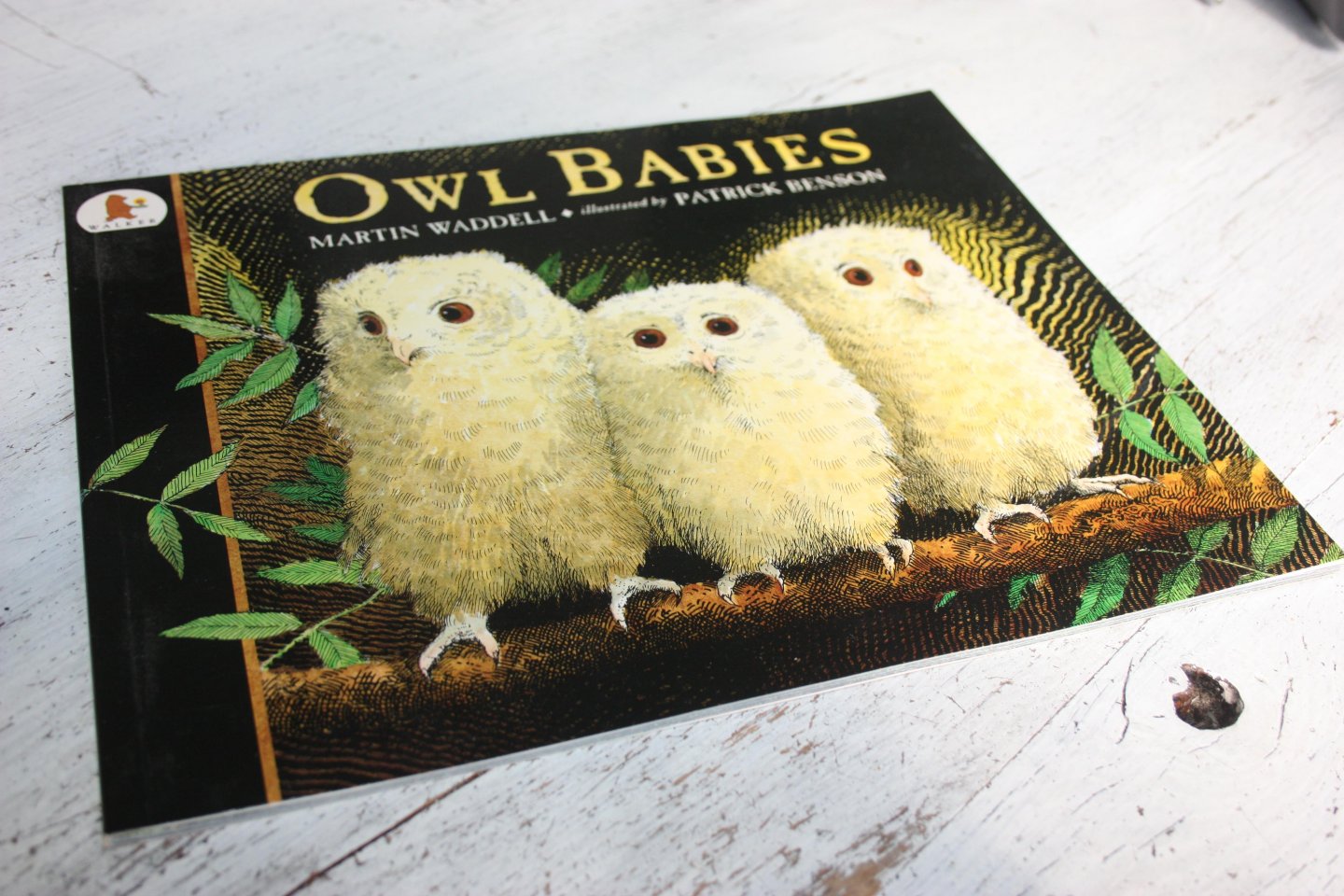 Waddell, Martin and Benson, Patrick (ill.) - OWL BABIES