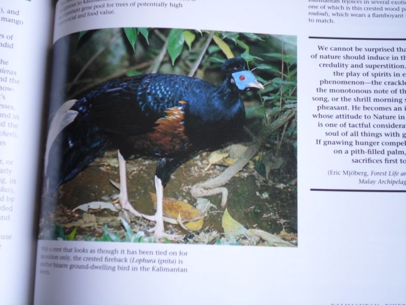 Sharp, Ilsa & Alain Compost - Green Indonesia, Tropical Forest Encounters