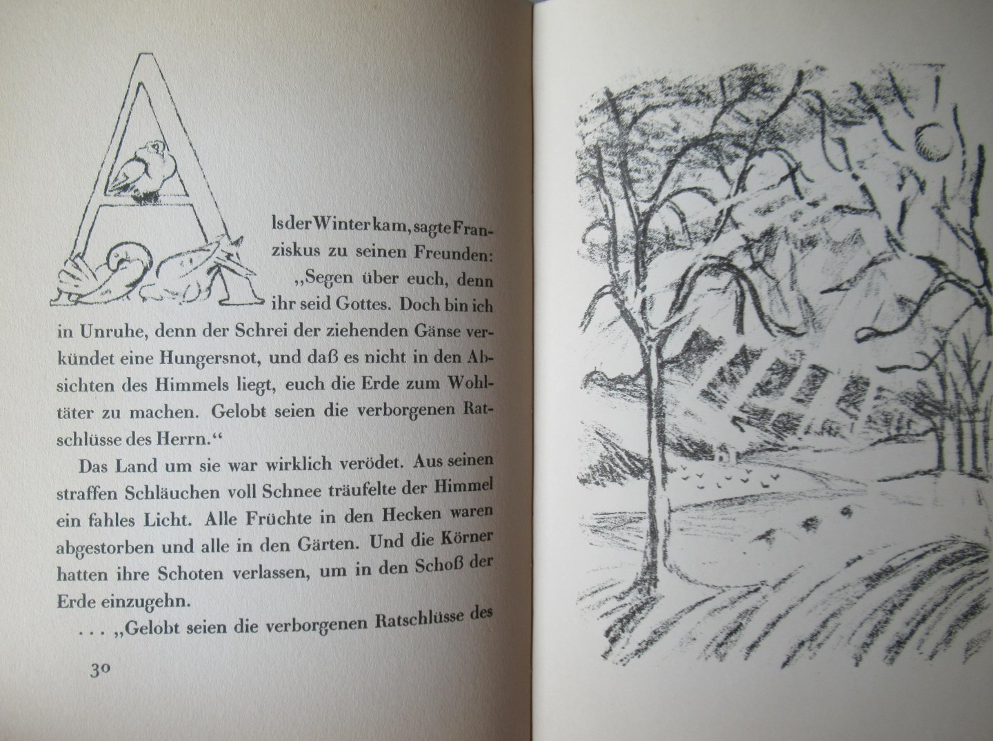 Jammes, Francis - Der Hasenroman