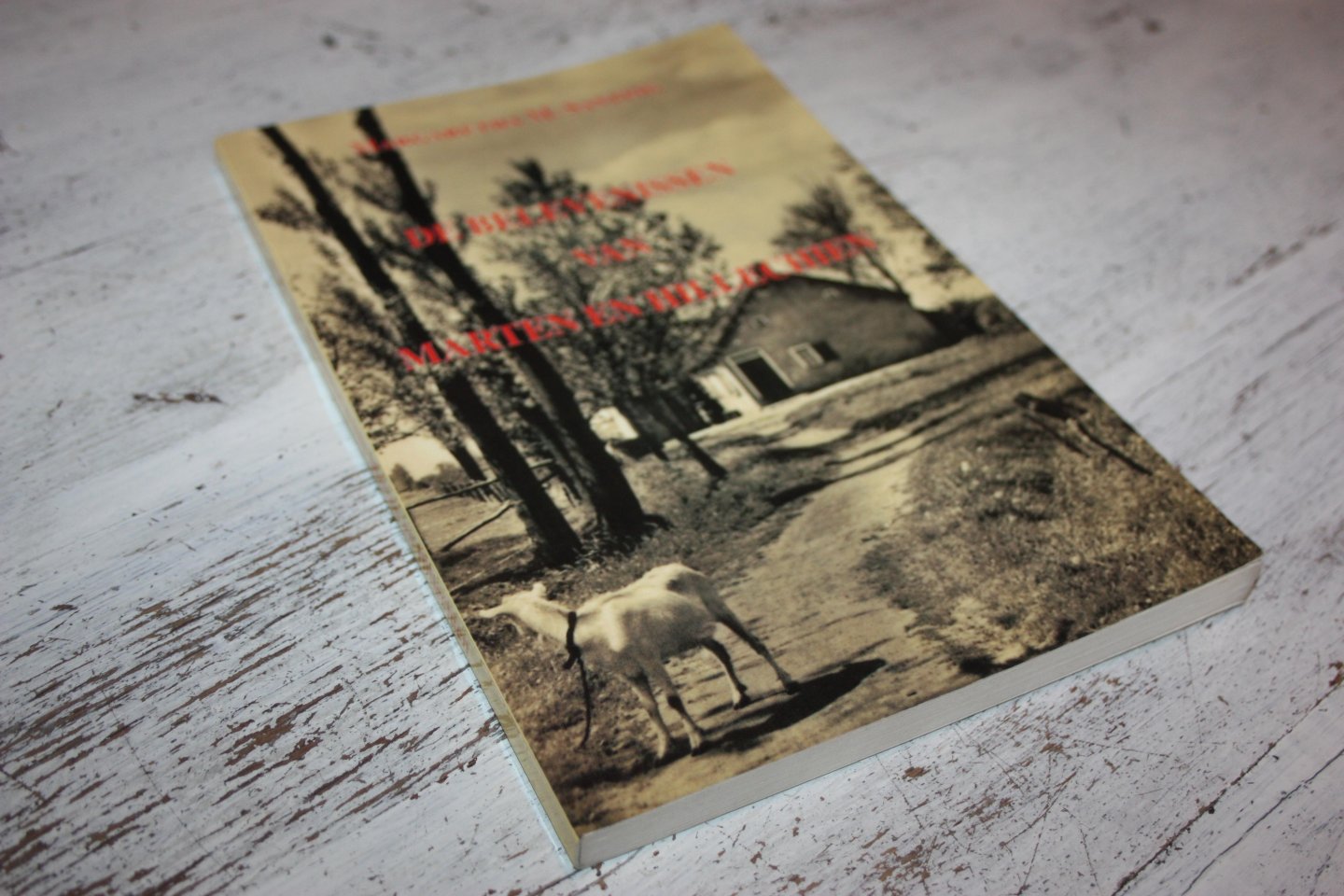 Santing, Margaretha M. - DE BELEVENISSEN VAN MARTEN EN HILLECHIEN