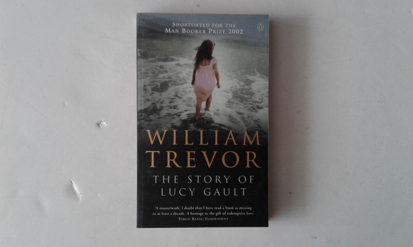 Trevor, William - Story of Lucy Gault, The