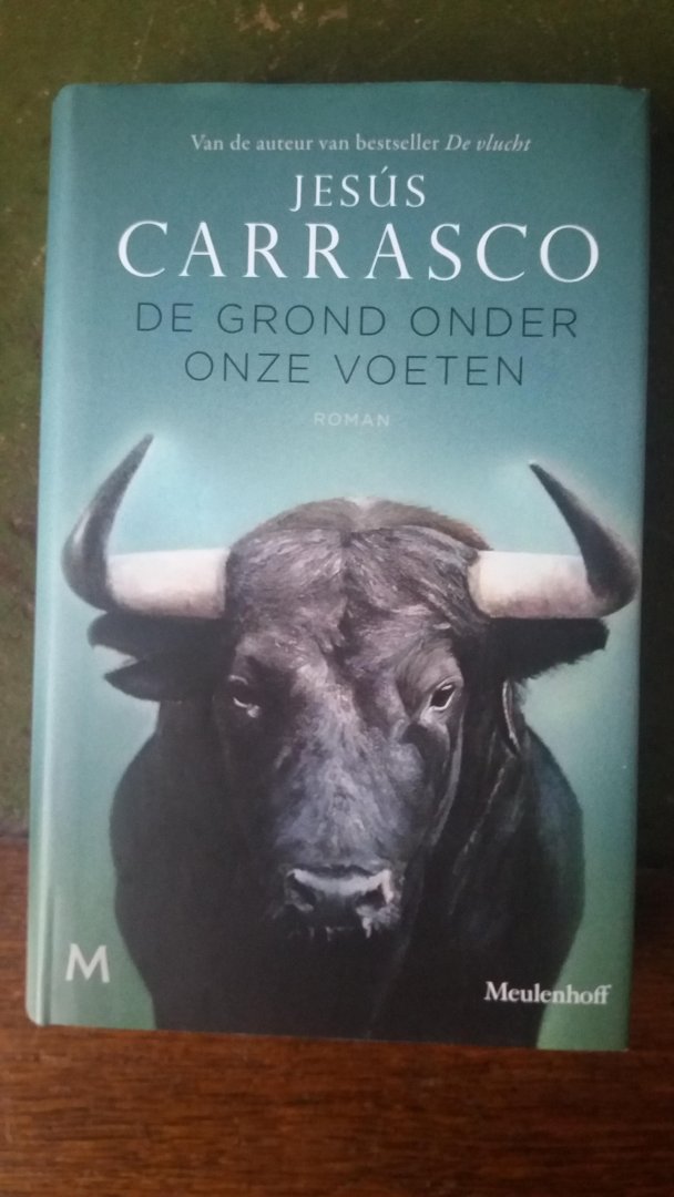 Carrasco, Jesús - De grond onder onze voeten