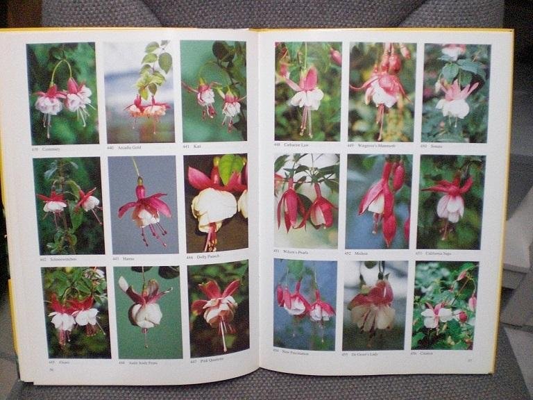 Miep Nijhuis Samengesteld - Vijfhonderd fuchsis's te kijk Een nieuwe selectiei