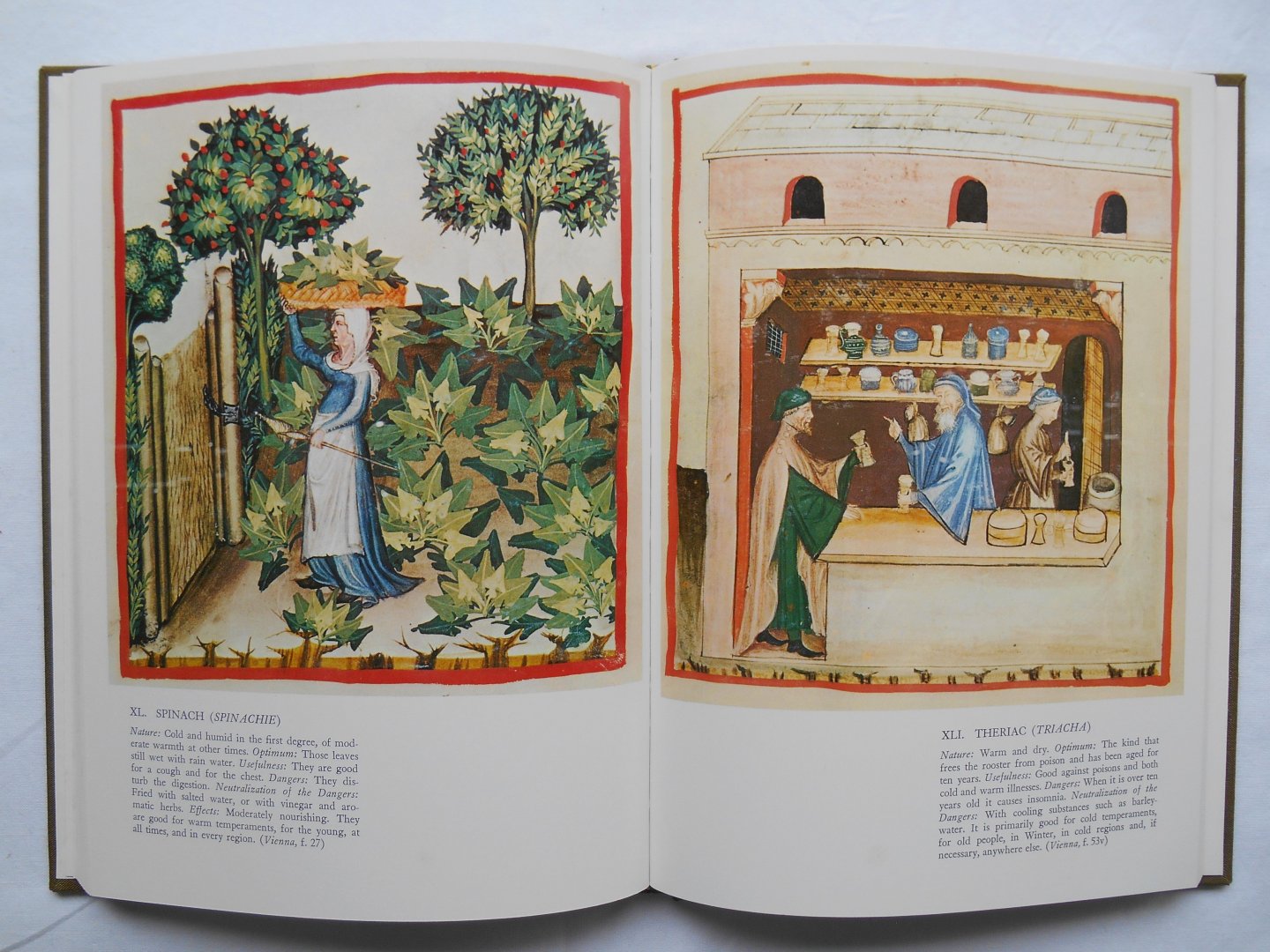 Arano, Luisa Cogliati (Hg.) - Tacuinum sanitatis, the Medieval Health Handbook