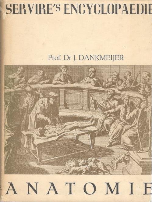 Dankmeijer, Dr J., hoogleraar te Leiden - Anatomie