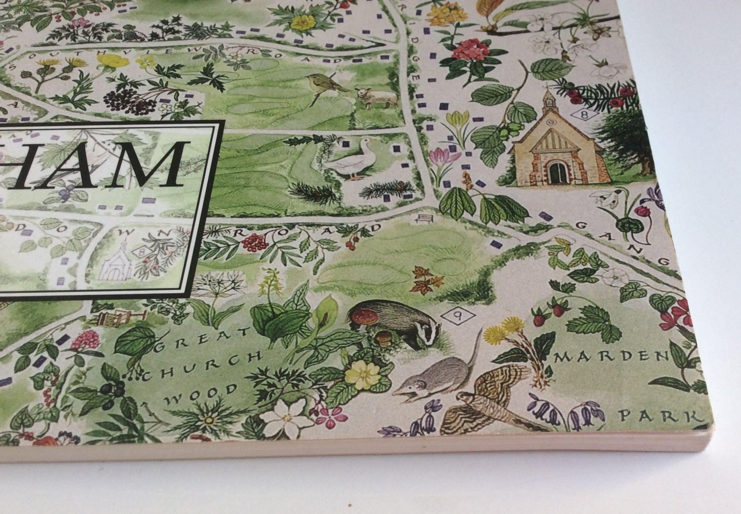 Anon - Woldingham 2000