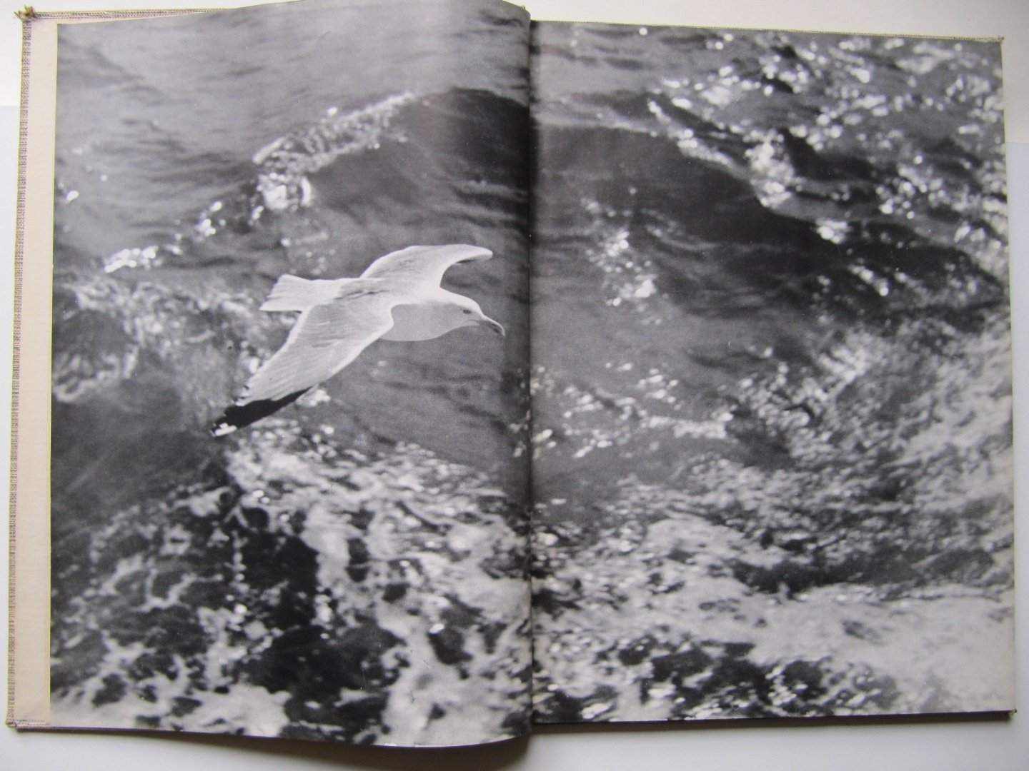 Anthony van Kampen - Zee