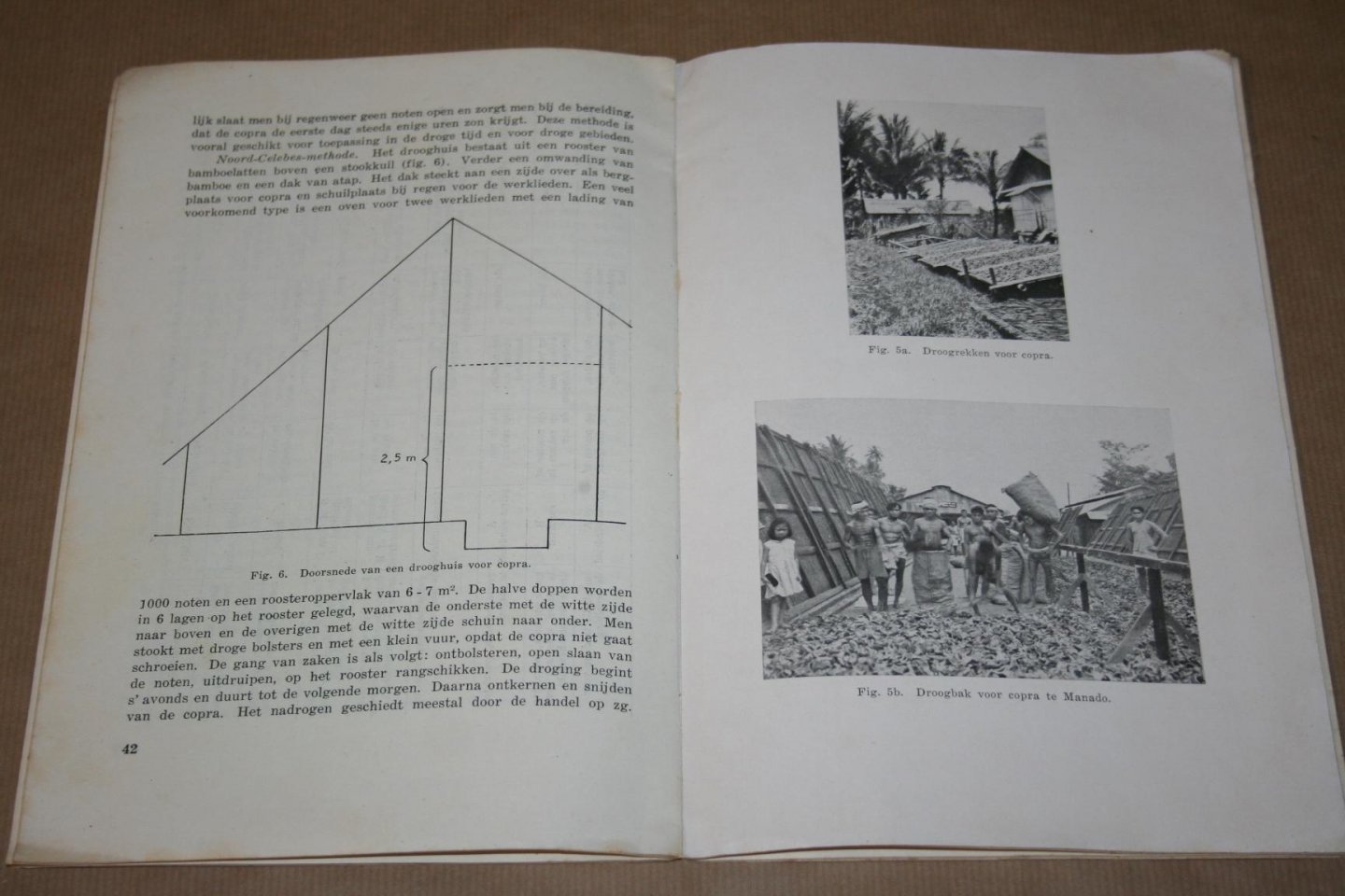 Dr. P.M.L. Tammes - De bevolkingscultuur van Klapper, in het bijzonder in Oost-Indonesië