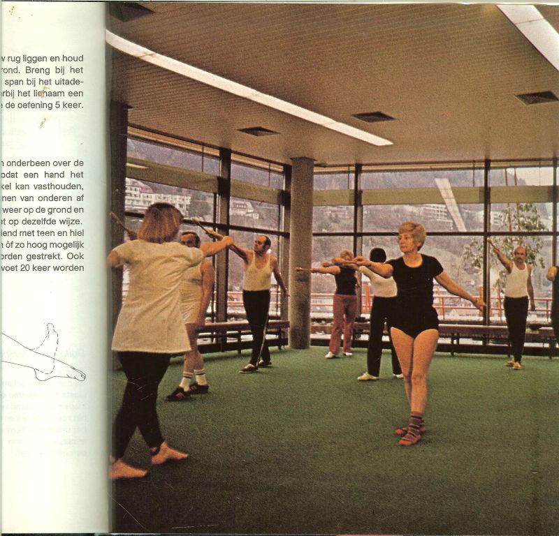 GERHARD LEIBOLD  met tekeningen van M. Wosczyna - het grote handboek der NATUURGENEESWIJZE  ** nerveuze en psychische stoornissen ** en veel mooie  foto's zoals Houtsnede van een middeleeuwse badscene uit de 16e eeuw en Kaasjeskruid [malva]ets , gekleurd door P.Haas,1809