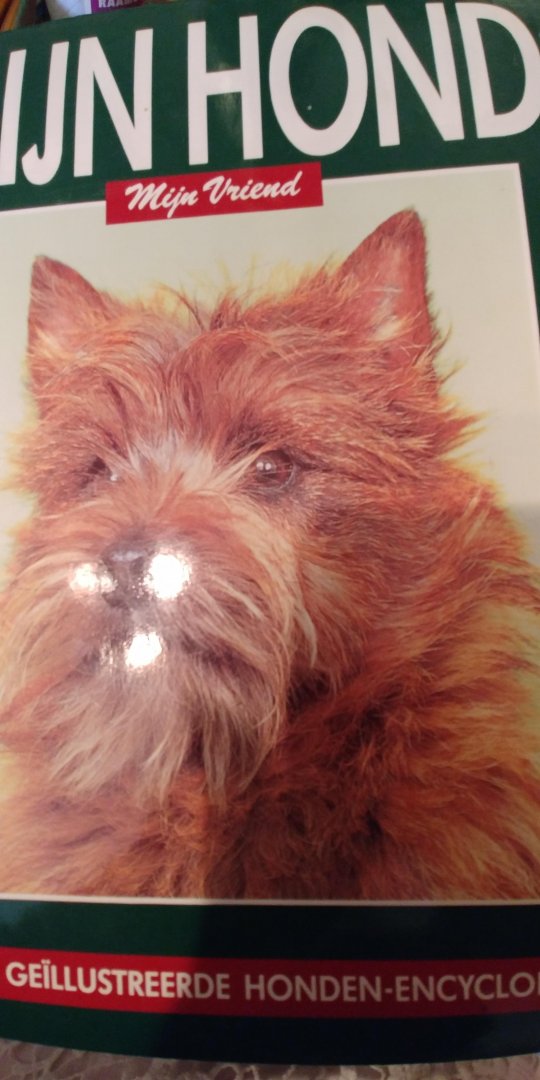 Bruin, Stephe (hoofdred.) - MIJN HOND mijn vriend CA