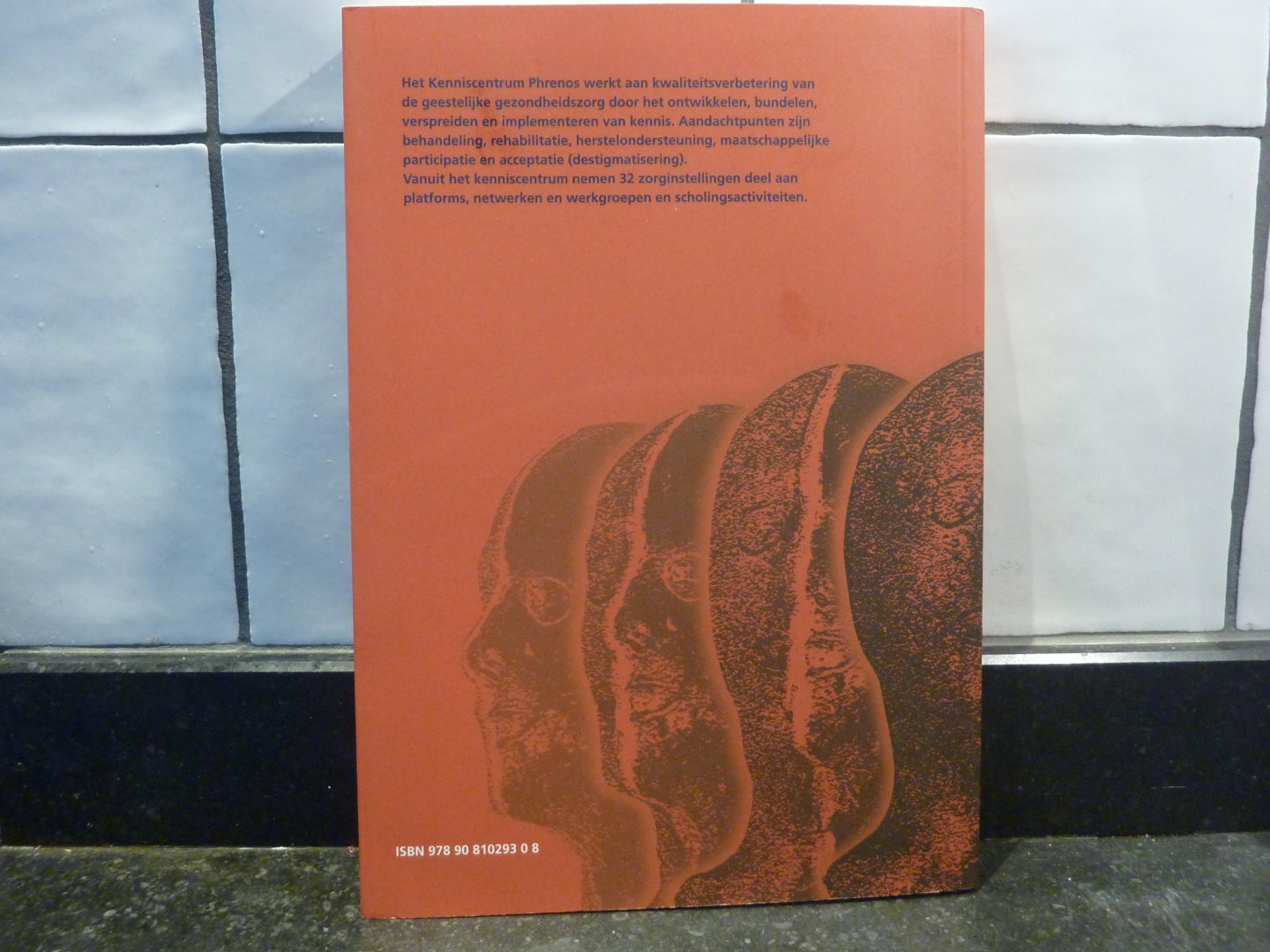 Pijnenborg, G.H.M., F.K. Withaar, C.J. Sloof, H. Knegtering, M. van der Gaag - Negatieve symptomen en cognitieve functiestoornissen bij schizofrenie en verwante psychosen