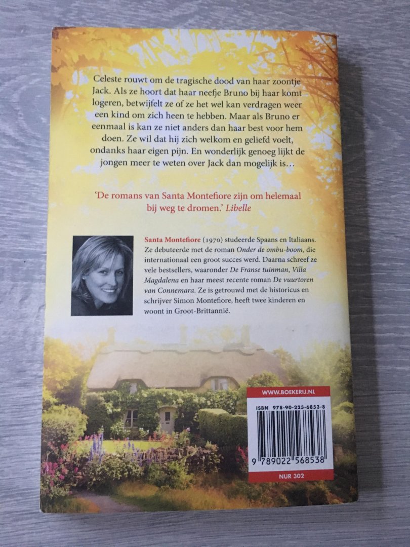 Montefiore, Santa - Het gouden licht / Novelle: Een betoverend verhaal over rouw en hoop